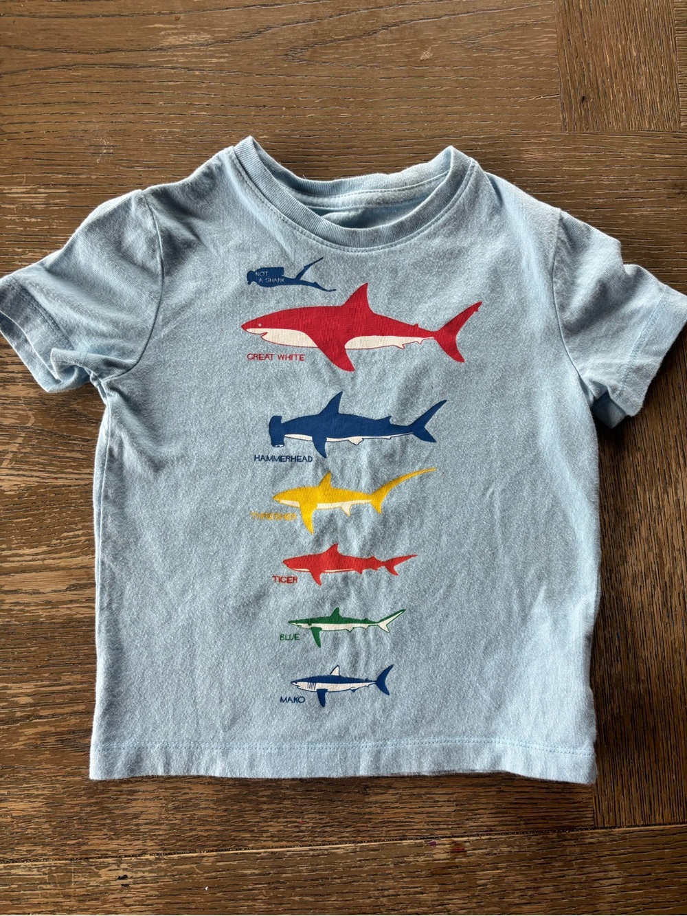 GAP Light Blue Shark Graphic Tee with Red, Blue and Yellow Sharks